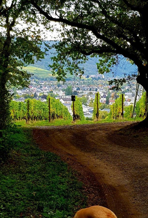Ahrweiler Seelchen Bad Neuenahr-Ahrweiler Εξωτερικό φωτογραφία